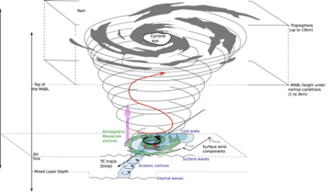 Learn How to Draw BoBoiBoy Cyclone from BoBoiBoy BoBoiBoy Step by Step   Drawing Tutorials